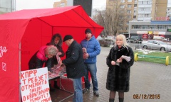 Пикеты в Щелково (05.12.2015)