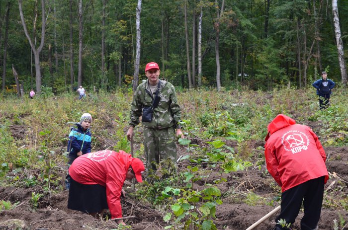 Коммунисты Зарайского района внесли лепту в восстановление леса