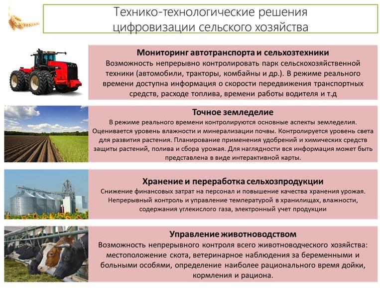 Реферат: Возмещение потерь сельскохозяйственного и лесохозяйственного производства в Республике Беларусь