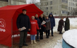 Пикет против мусорной реформы в Щёлково