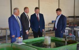 В.И. Кашин с рабочим визитом посетил филиал ВГБНУ «ВНИРО» по пресноводному рыбному хозяйству