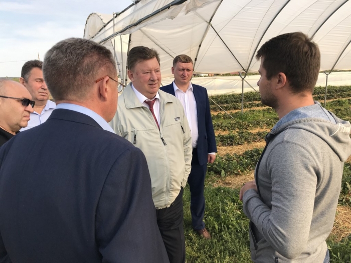 Владимир Кашин осмотрел ход уборочной кампании в ведущих аграрных округах Подмосковья