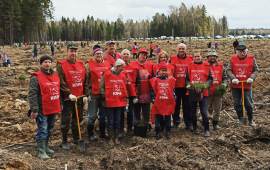 Коммунисты Ногинска приняли активное участие в посадке леса по программе «Лес Победы»