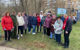 Депутаты Фрязино, приняли участие в эколого-патриотической акция «Лес Победы»