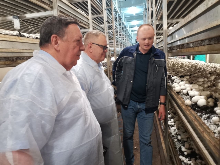 Александр Наумов: Подмосковье может стать лидером в стране по производству грибов