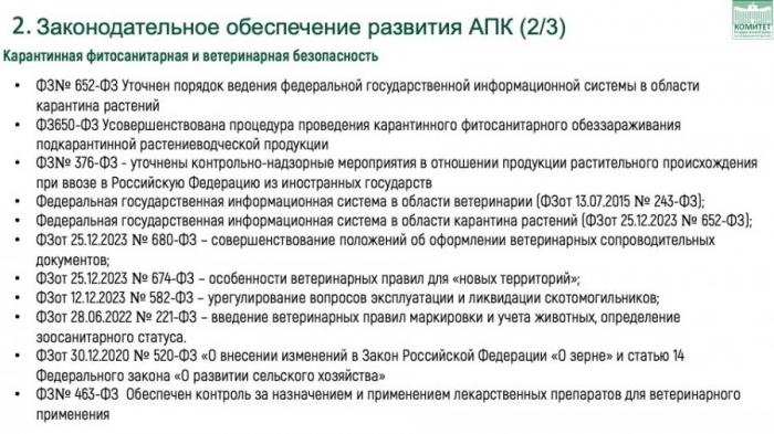 �.�. �����: ��������������� � ������������� ������������ ������ ��������