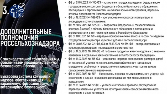 �.�. �����: ��������������� � ������������� ������������ ������ ��������