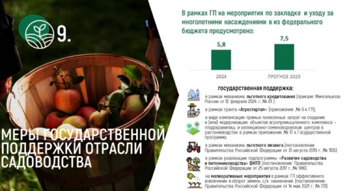 �������� ����� �������� � �������� �� XV ������������� ������ ���� ���� � ��������