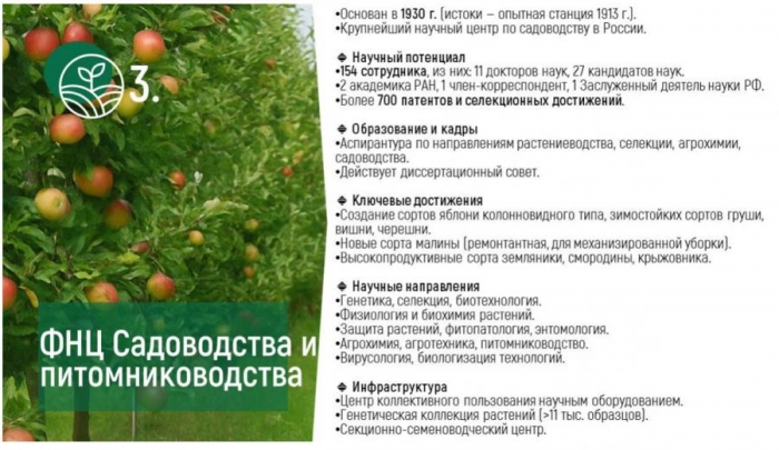 �������� ����� �������� � �������� �� XV ������������� ������ ���� ���� � ��������