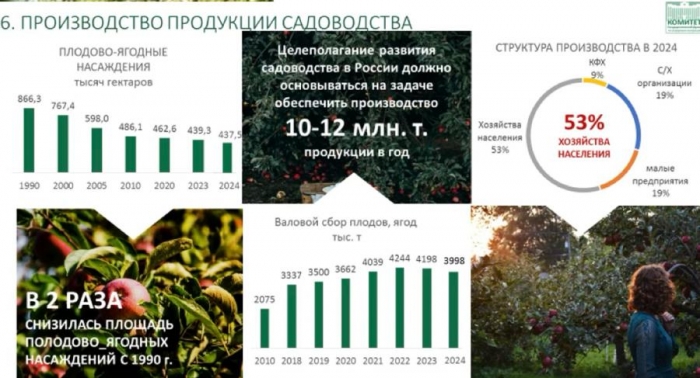 �������� ����� �������� � �������� �� XV ������������� ������ ���� ���� � ��������