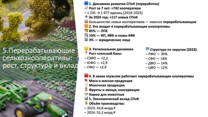 �������� �����: �������� ���� �������������������� � ��������������� ����������