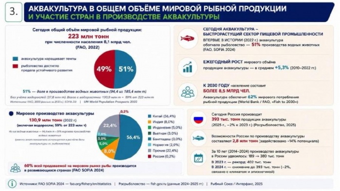 �������� �����: ������� ������� ��������� ����