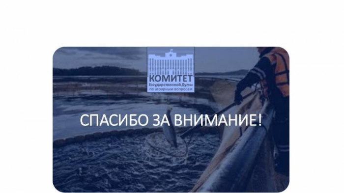 �������� �����: ������� ������� ��������� ����