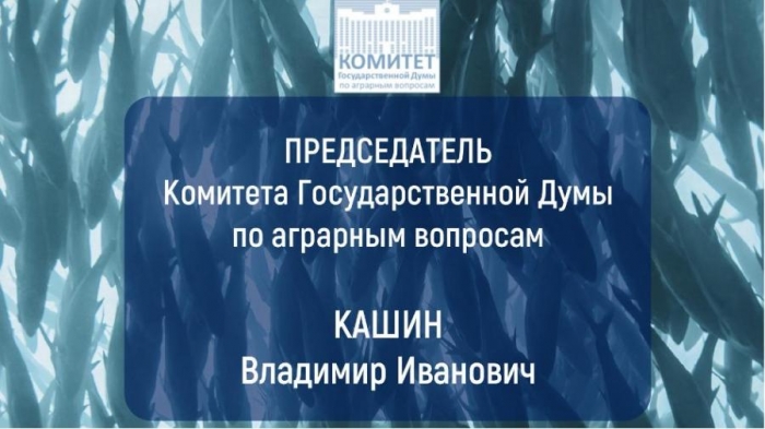 �������� �����: ������� ������� ��������� ����