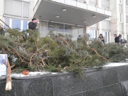 Жуковский: власть варварски уничтожает Цаговский лес 