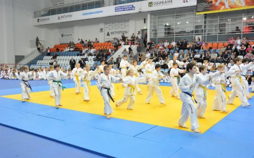Ударим вместе! В Москве открылся Чемпионат России по тэквон-до, организованный при поддержке КПРФ
