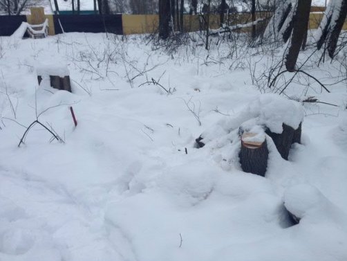 Коммунисты на страже природы