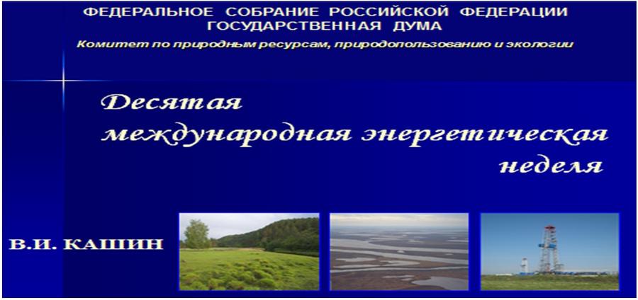 Доклад В.И. Кашина на десятой международной энергетической неделе от лица депутатов Комитета Государственной Думы по природным ресурсам, природопользованию и экологии