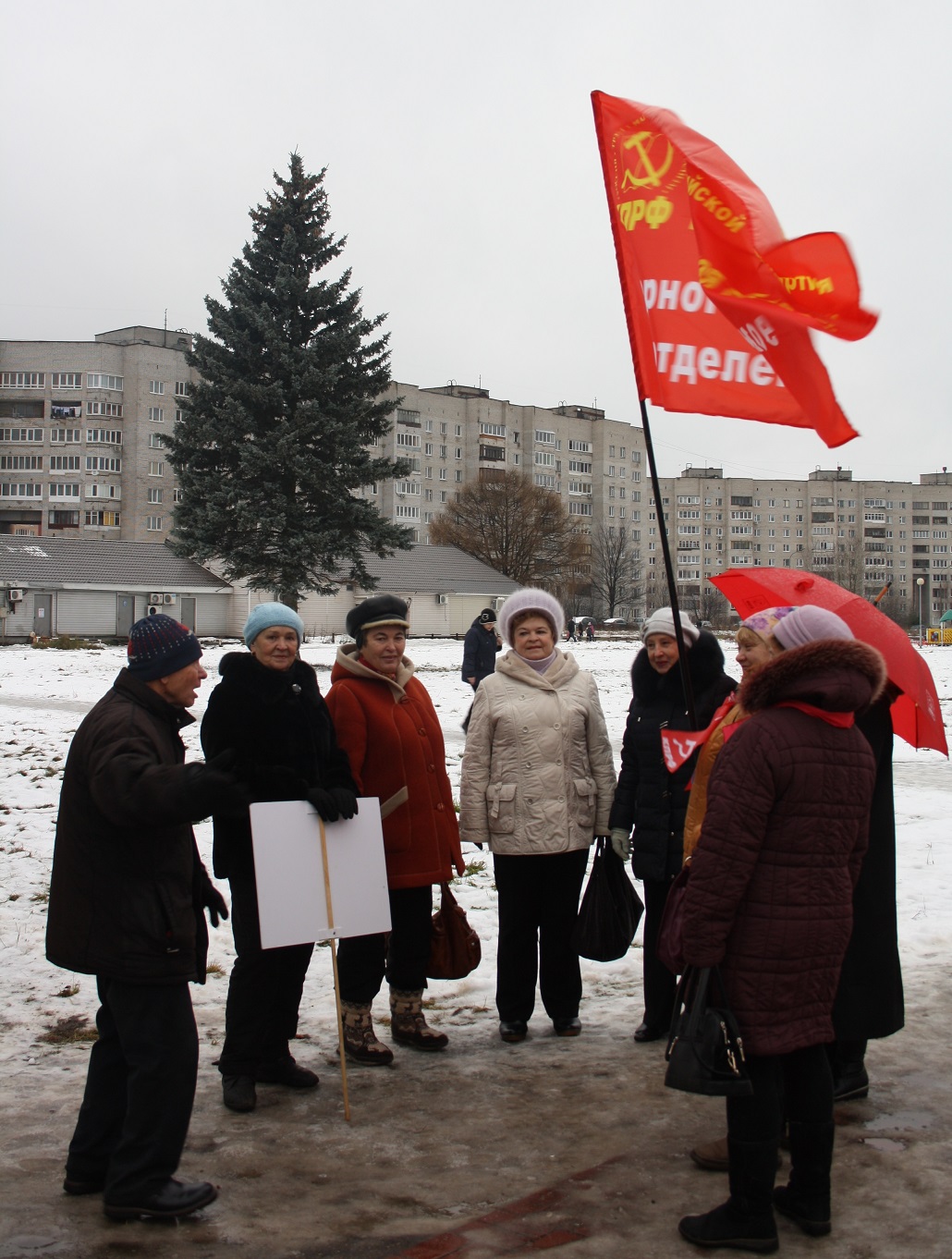 Черноголовка протестует