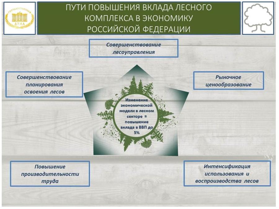 В.И. Кашин: «Комплексное освоение лесов: проблемы, задачи, пути решения»