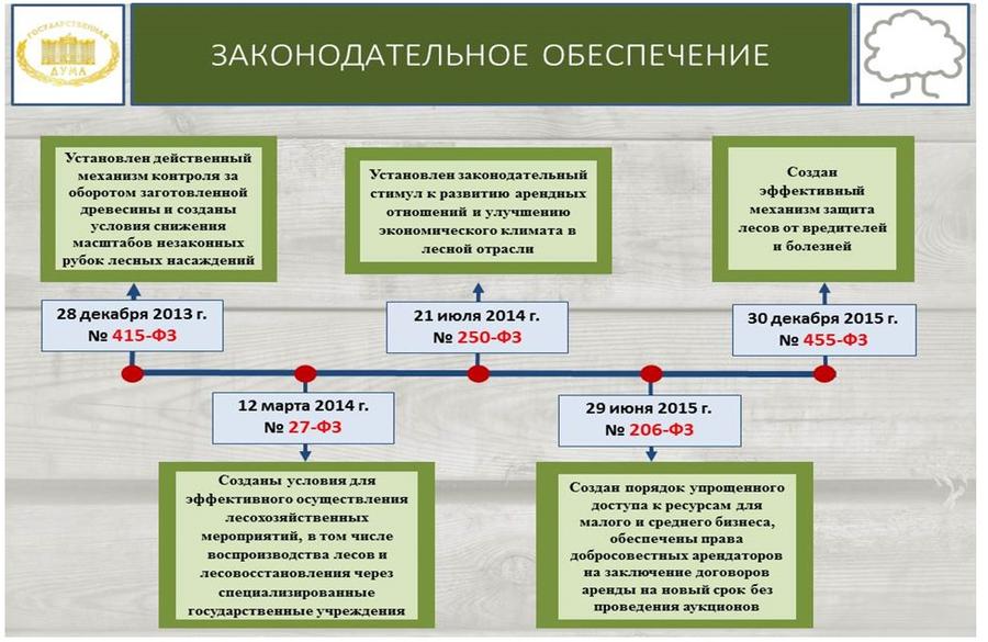 В.И. Кашин: «Комплексное освоение лесов: проблемы, задачи, пути решения»