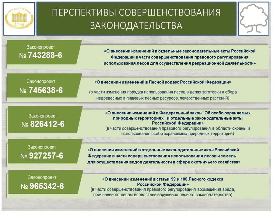 В.И. Кашин: «Комплексное освоение лесов: проблемы, задачи, пути решения»