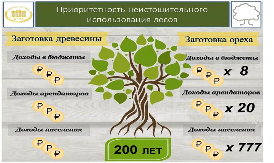 В.И. Кашин: «Комплексное освоение лесов: проблемы, задачи, пути решения»