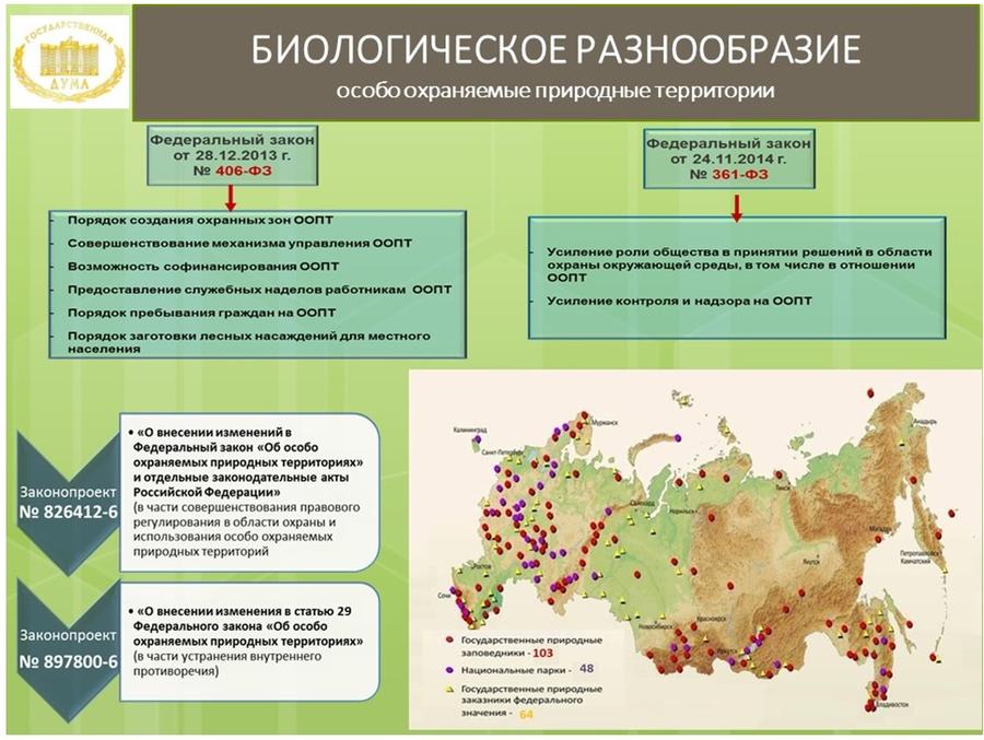 Обзор правоприменительной практики и проблемы реализации ключевых законодательных актов в области охраны окружающей среды и природопользования, принятых в период работы Государственной Думы 6 созыва