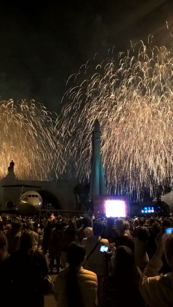 Пушкинские коммунисты прошли 9 мая 2016 года в колоннах Бессмертного полка