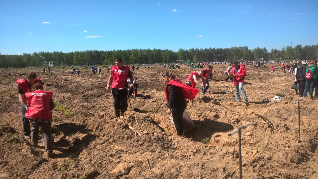«Лес Победы» в городе Раменское