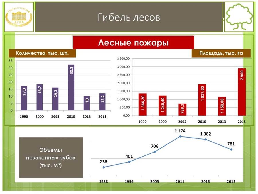 В.И. Кашин провел расширенное заседание секции Высшего экологического совета на тему: «Актуальные проблемы правового регулирования создания лесопарковых зеленых поясов крупных городов»