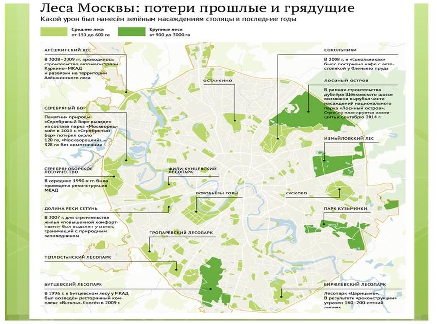 В.И. Кашин провел расширенное заседание секции Высшего экологического совета на тему: «Актуальные проблемы правового регулирования создания лесопарковых зеленых поясов крупных городов»