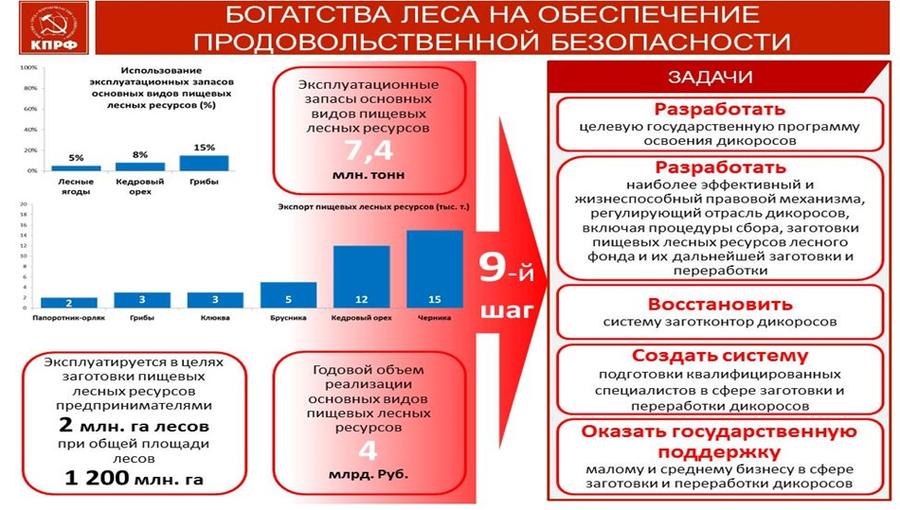 В.И. Кашин: 10 шагов к продовольственной безопасности