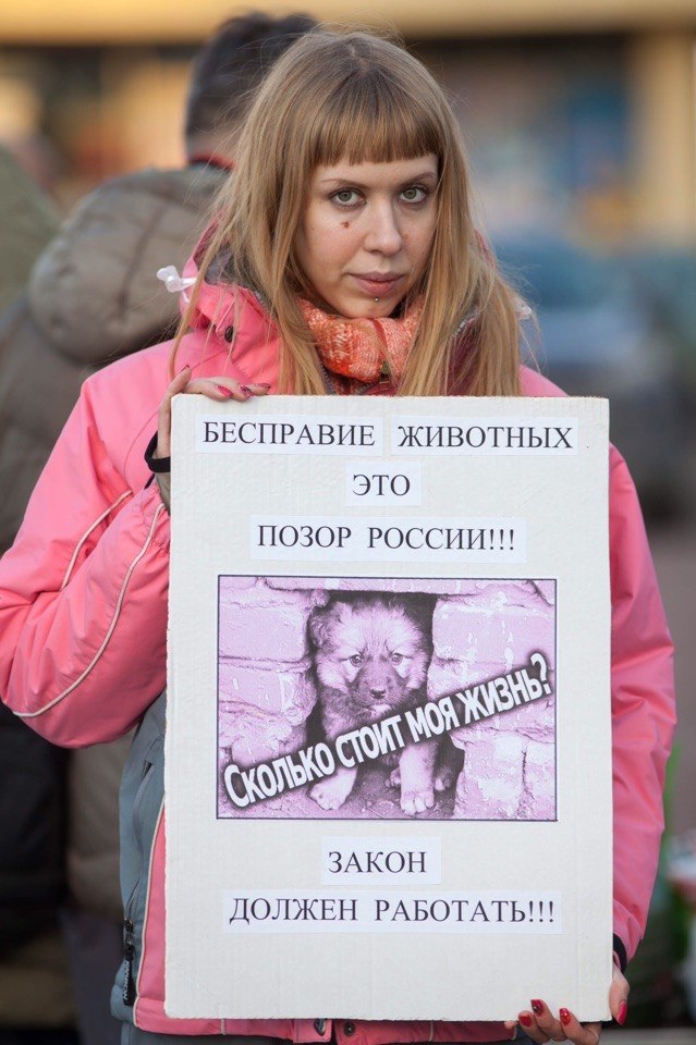 Подольские коммунисты приняли участие в митинге против несправедливого отношения к животными