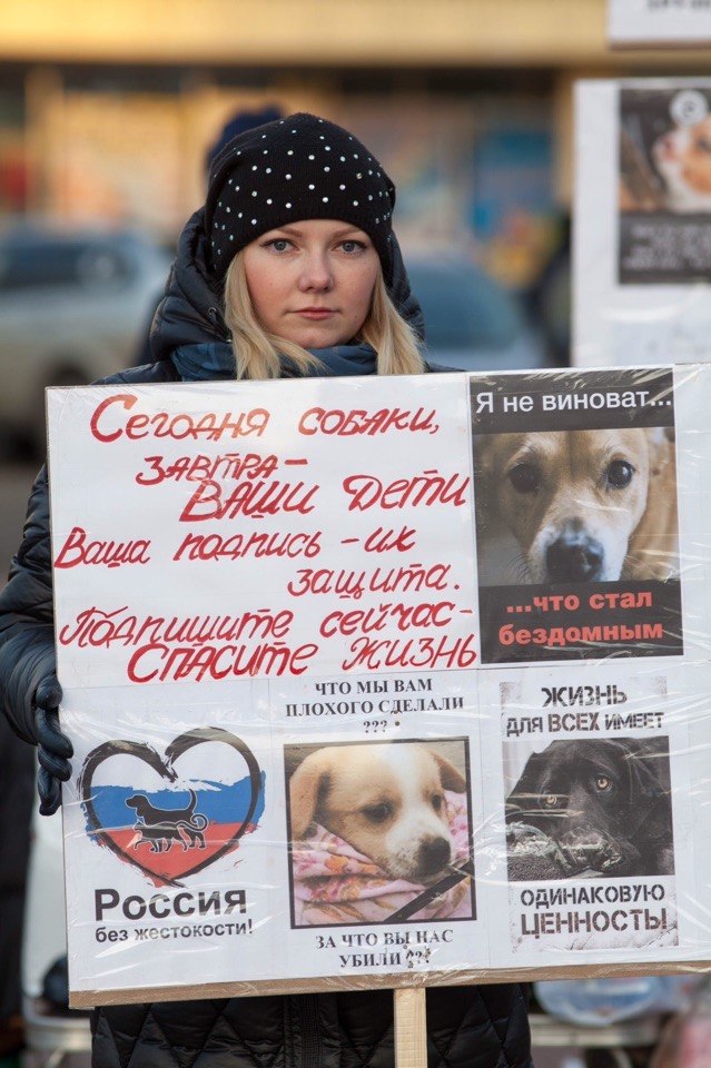 Подольские коммунисты приняли участие в митинге против несправедливого отношения к животными