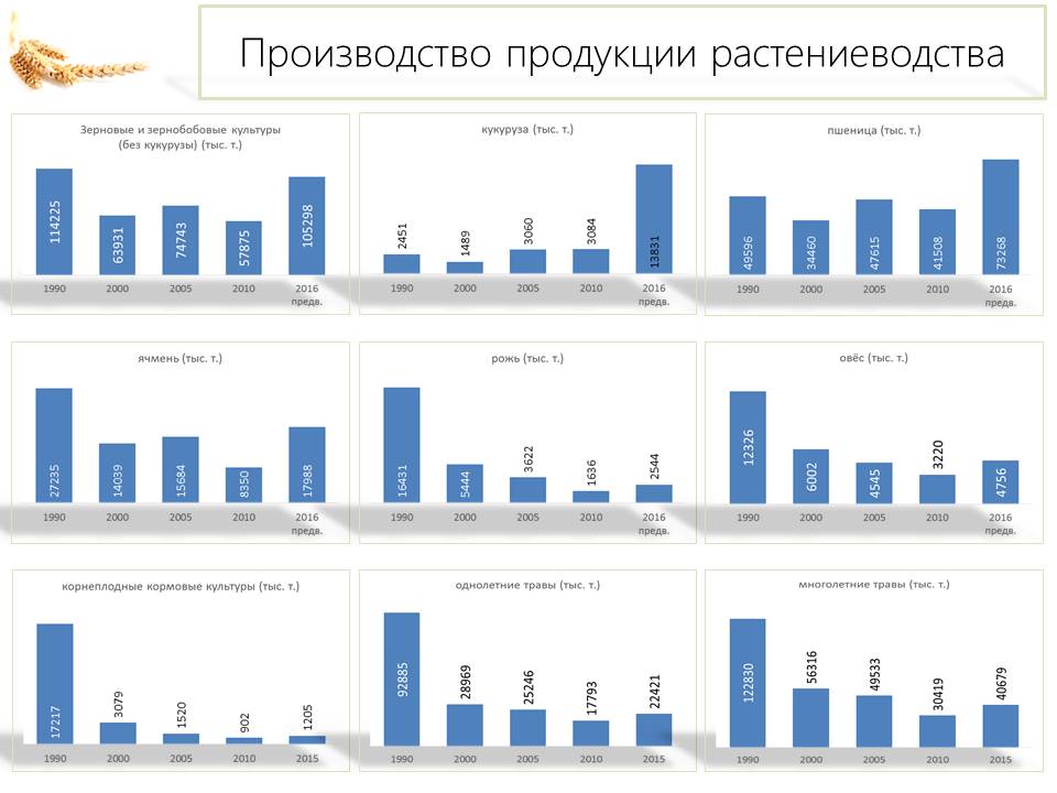 Выход в разумной аграрной политике