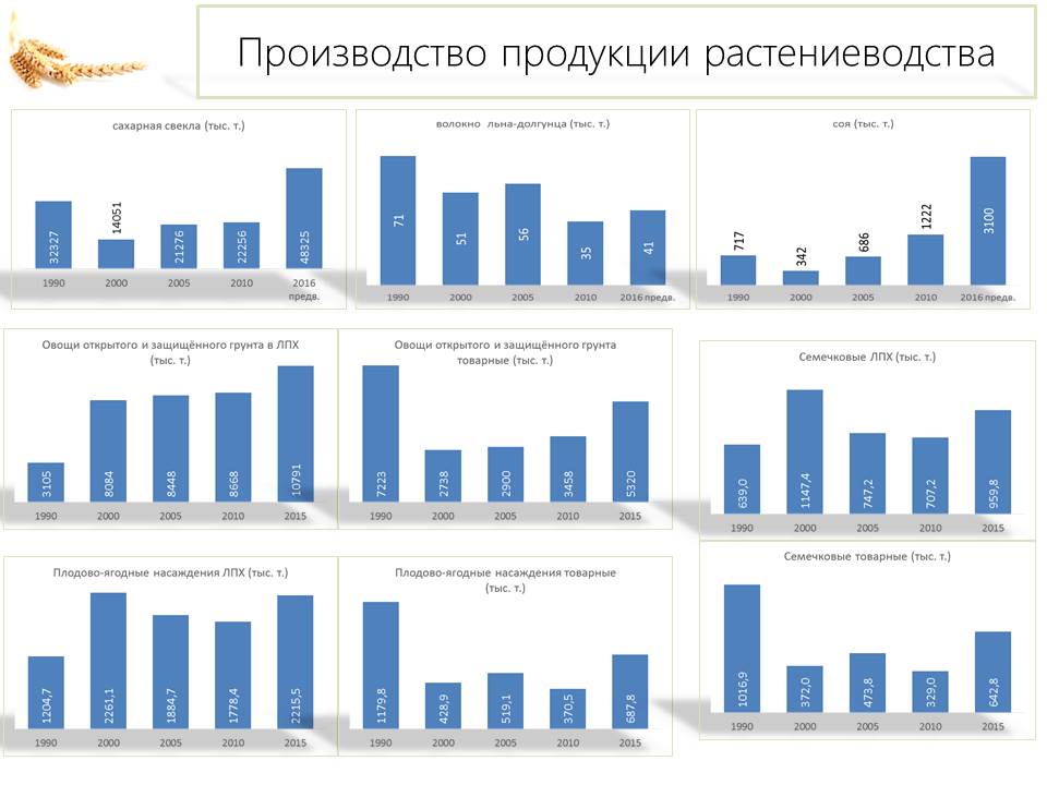 Выход в разумной аграрной политике