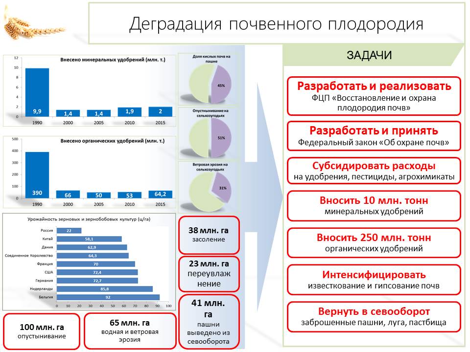 Выход в разумной аграрной политике