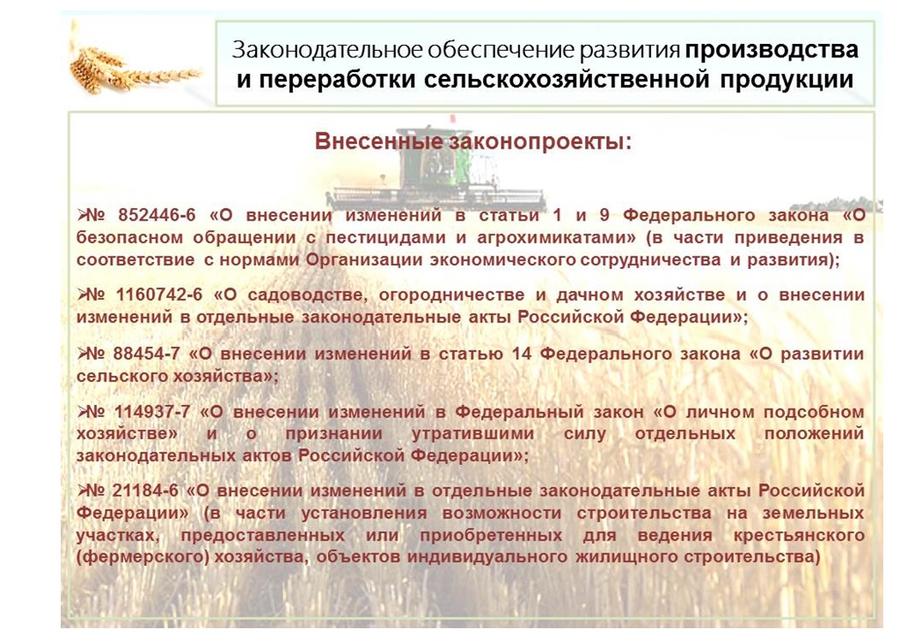 В.И.Кашин: Развитие пищевой и перерабатывающей промышленности – альтернатива сырьевому развитию АПК