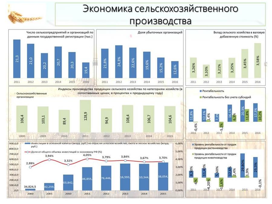 В.И.Кашин: Развитие пищевой и перерабатывающей промышленности – альтернатива сырьевому развитию АПК