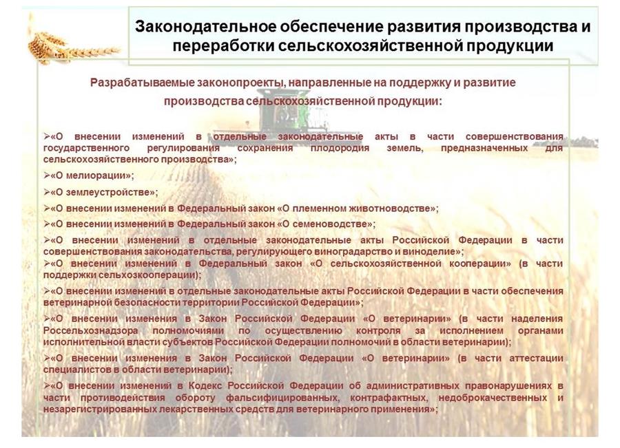 В.И.Кашин: Развитие пищевой и перерабатывающей промышленности – альтернатива сырьевому развитию АПК