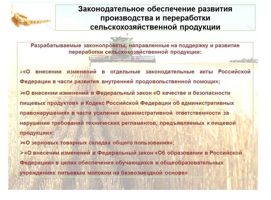 В.И.Кашин: Развитие пищевой и перерабатывающей промышленности – альтернатива сырьевому развитию АПК
