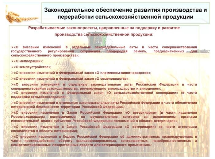 В.И.Кашин: О крестьянстве замолвим слово