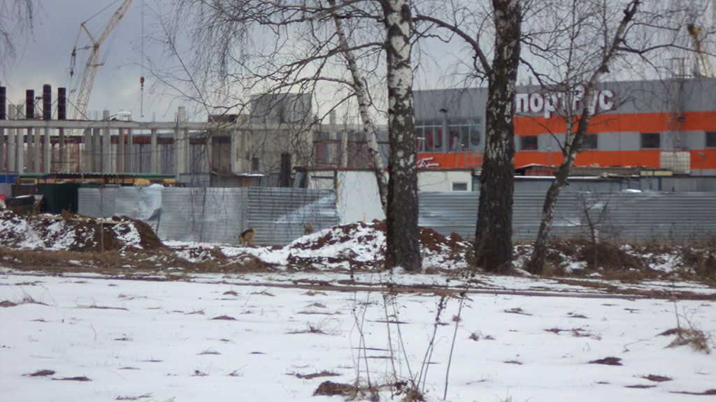 В мире знал его любой…