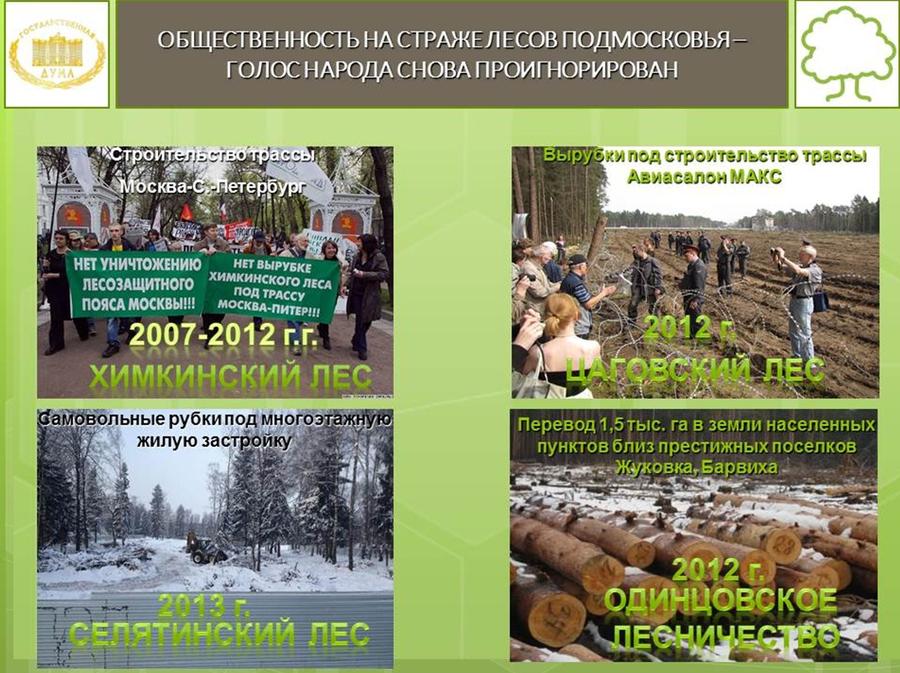 В.И. Кашин: Экологический беспредел в год экологии