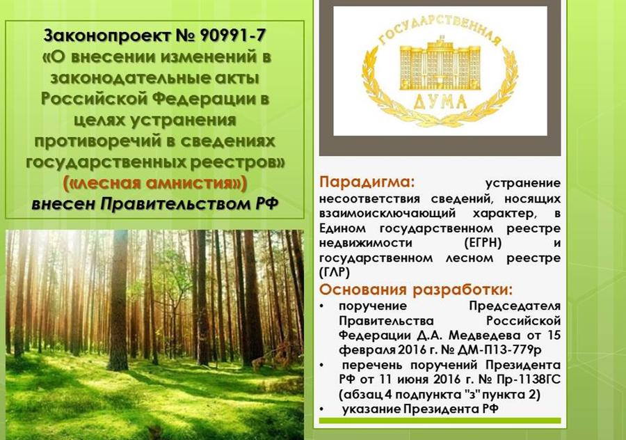 В.И. Кашин: Экологический беспредел в год экологии