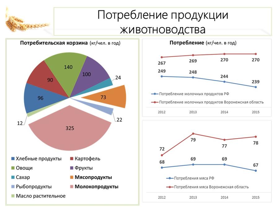 В.И. Кашин: Продовольственной безопасности особое внимание