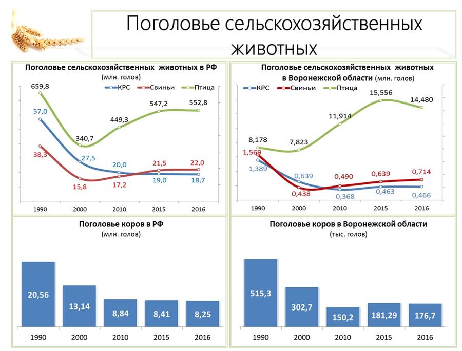 В.И. Кашин: Продовольственной безопасности особое внимание