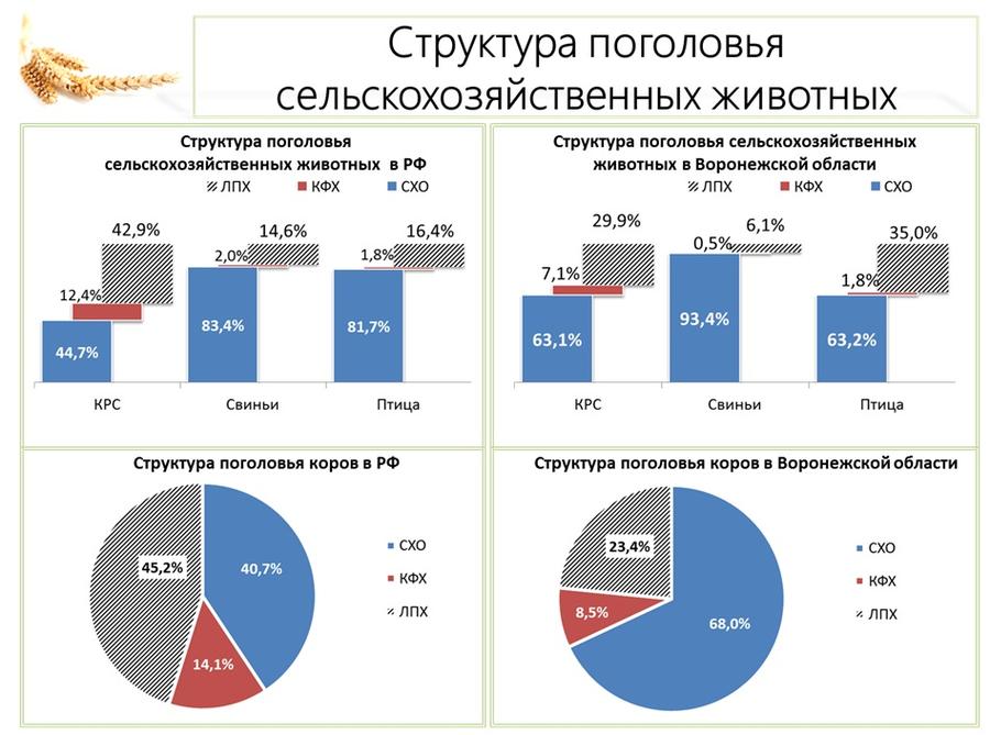 В.И. Кашин: Продовольственной безопасности особое внимание