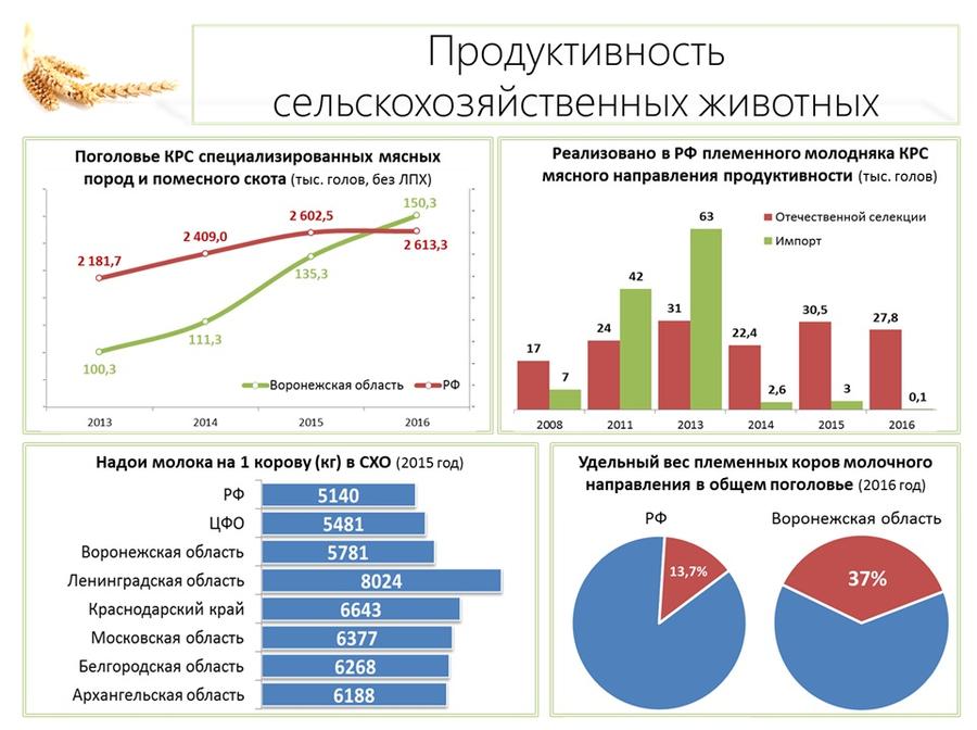 В.И. Кашин: Продовольственной безопасности особое внимание